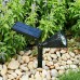 Nice outdoor Solar Spotlights 2-in-1 Waterproof 4 LED Adjustable lawn Landscape Light (2 Pack)