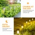 Solar Powered Pathway Lights Outdoor Landscape Lighting (12Pack )